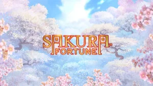 sakura fortune