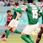 Bicampeão do mundo faz aposta ousada para Flamengo e Palmeiras