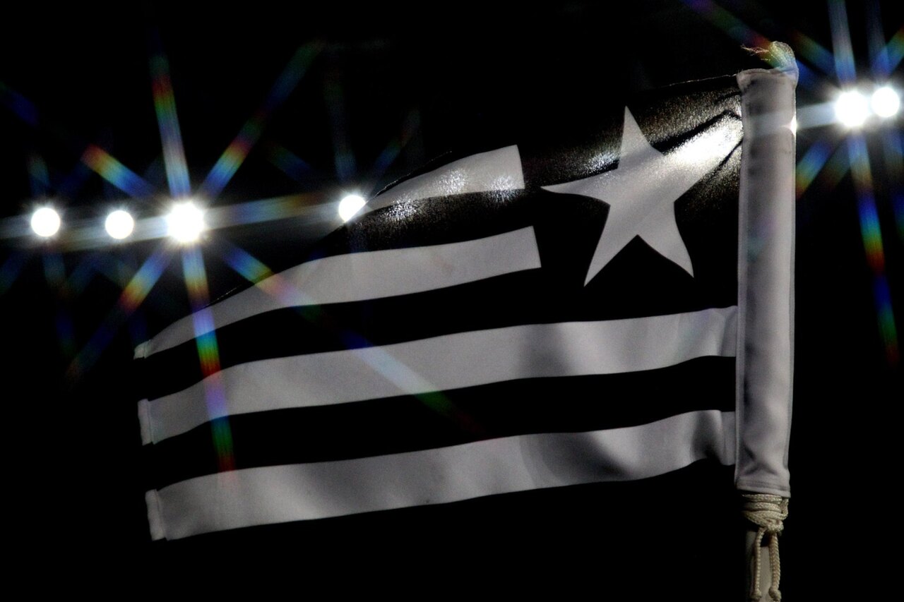 Bandeira do Botafogo