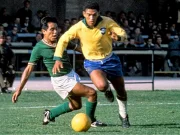 Ídolo do Botafogo era torcedor do Flamengo, revela sua ex-mulher