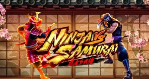 Ninja vs Samurai