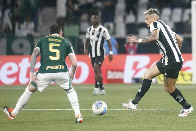 Tiquinho Soares durante a partida entre Botafogo x Palmeiras pelo Brasileirão 2024 no estádio Nilton Santos