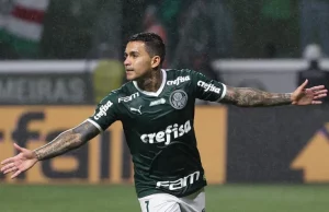 Dudu em jogo do Palmeiras