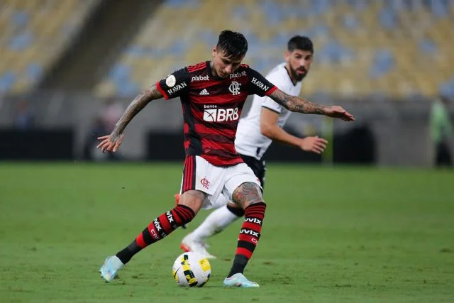 erick-pulgar-flamengo