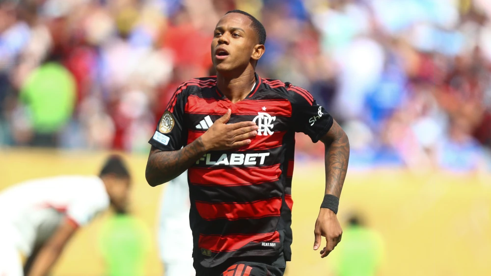 wallace Yan pelo Flamengo (Foto: Gilvan Souza/Flamengo)
